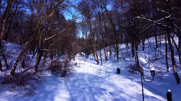 Letecký Pohled Dron Letící Nad Zimním Parkem — Stock video