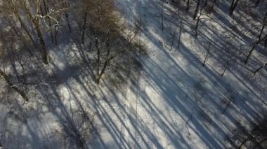 Kış parkında uçan bir İHA 'nın hava görüntüsü.