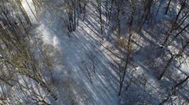Kış parkında uçan bir İHA 'nın hava görüntüsü.