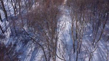 Kış parkında uçan bir İHA 'nın hava görüntüsü.