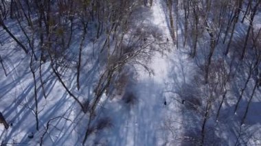 Kış parkında uçan bir İHA 'nın hava görüntüsü.