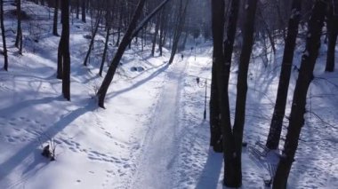 Kış parkında uçan bir İHA 'nın hava görüntüsü.
