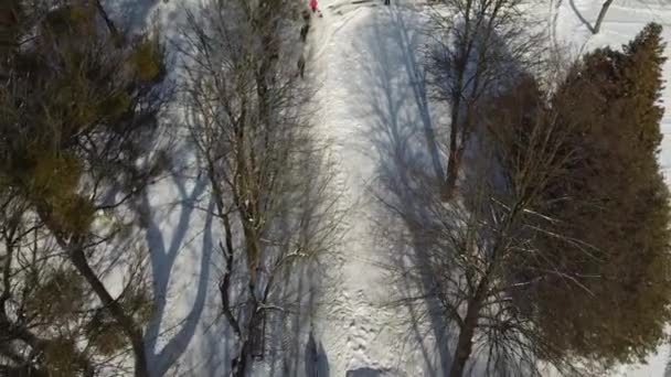 Luftaufnahme Einer Drohne Die Über Den Winterpark Fliegt — Stockvideo