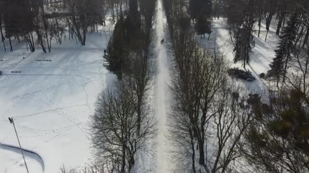 Flygfoto Drönare Som Flyger Över Vinterparken — Stockvideo