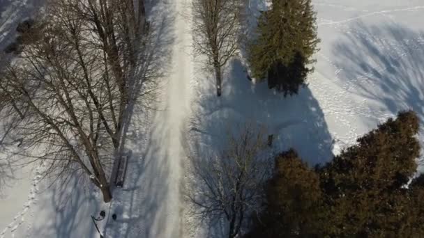 Luftaufnahme Einer Drohne Die Über Den Winterpark Fliegt — Stockvideo