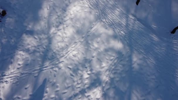 Αεροφωτογραφία Επανδρωμένου Αεροσκάφους Που Πετάει Πάνω Από Χειμερινό Πάρκο — Αρχείο Βίντεο