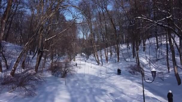 Letecký Pohled Dron Letící Nad Zimním Parkem — Stock video