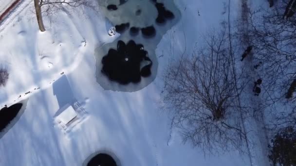 Вид Повітря Дрон Літає Над Зимовим Парком — стокове відео