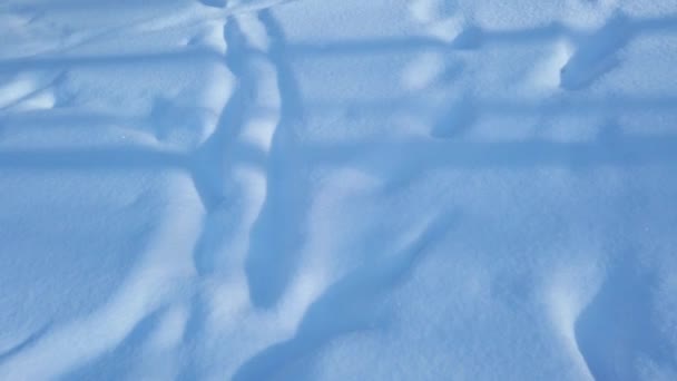 Snö Vintersolens Strålar Snö Bakgrund — Stockvideo