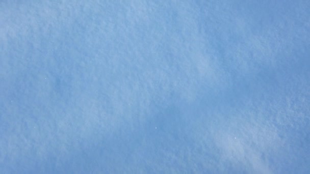 Zăpadă Razele Soarelui Iarnă Zăpadă Fundal — Videoclip de stoc
