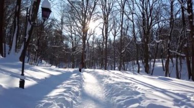 Kış parkında kar.