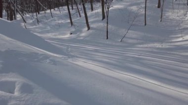 Kış parkında kar.