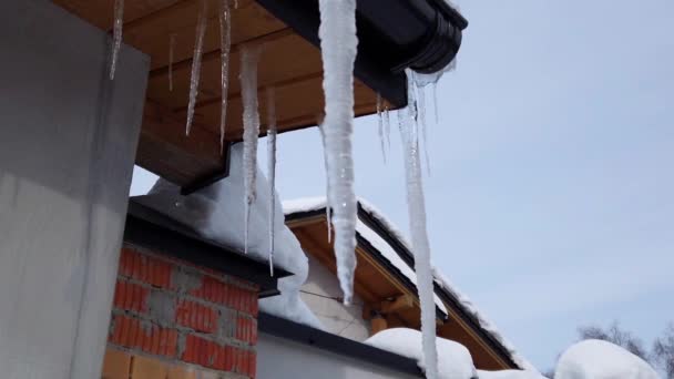 Water Dripping Icicles — Stock Video