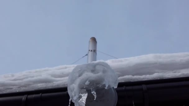 Das Wasser Tropft Von Eiszapfen — Stockvideo