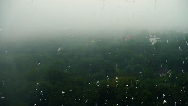 Regen Mist Boven Het Bos Zicht Vanuit Het Raam Regendruppels — Stockvideo