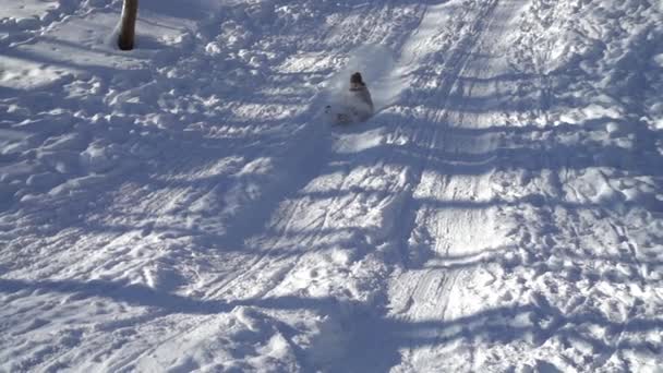 Girl Rides Snow Slide Sledges Slow Motion — Stock Video