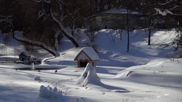 Brunnen Auf Einem Zugefrorenen See Einem Winterpark — Stockvideo