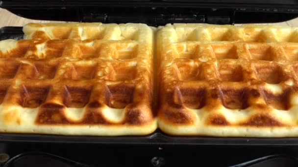 Preparação Waffles Ferro Waffle — Vídeo de Stock