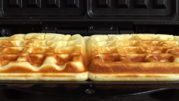 Waffle Izgarasında Waffle Hazırlama — Stok video