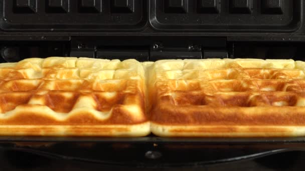 Waffle Izgarasında Waffle Hazırlama — Stok video