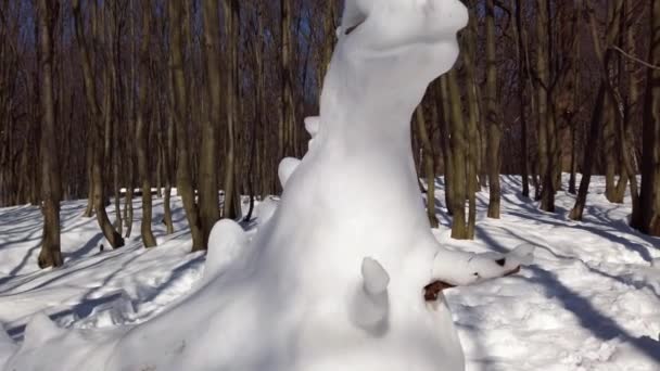 Dinosaurie Gjord Snö Skytte Parken — Stockvideo