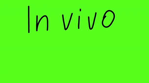 Inscription Vivo Vitro Alpha Channel Included — ストック動画