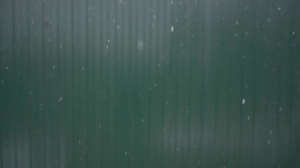 Sneeuwvlokken Vallen Tegen Achtergrond Van Het Hek — Stockvideo