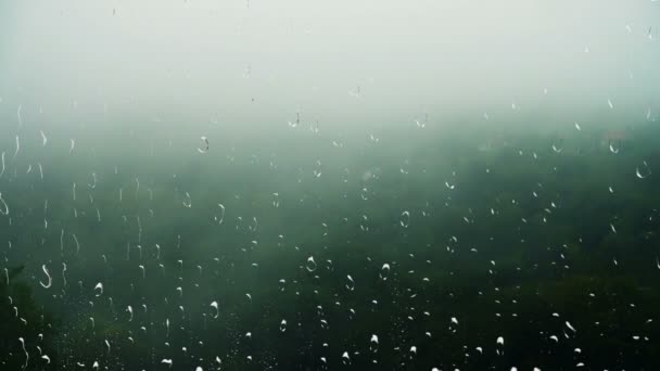 Lluvia Niebla Sobre Bosque Vista Desde Ventana Gotas Lluvia Vaso — Vídeos de Stock