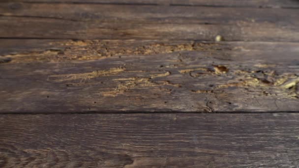 Детская Игрушка Деревянные Фигурки Падают Винтажную Доску Медленное Движение — стоковое видео