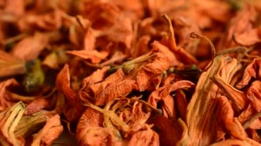 Zambak yapraklarından çiçek çayı.