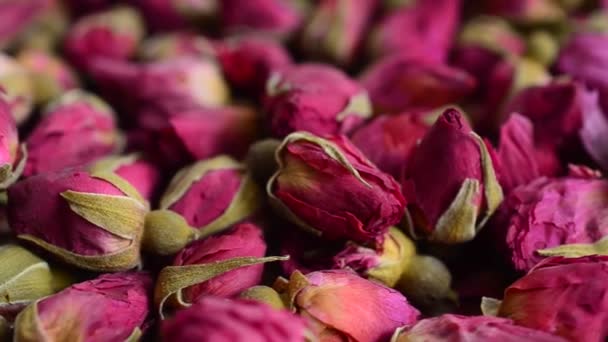 Flores Los Pétalos Rosa — Vídeo de stock