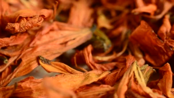 Цветочный Чай Лепестков Лилии — стоковое видео