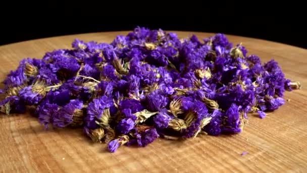 Tea Myosotis Flowers Shooting Motion — Vídeo de Stock