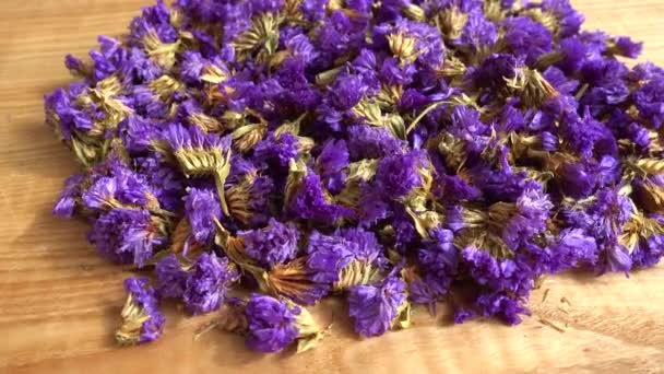 Tea Myosotis Flowers Shooting Motion — Vídeo de Stock