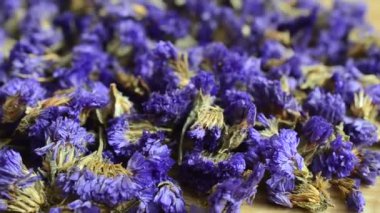 Myosotis çiçeklerinden çay. Hareket halinde çekim.