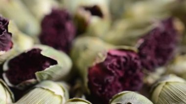 Kurak Dianthus çiçeklerinden çay.