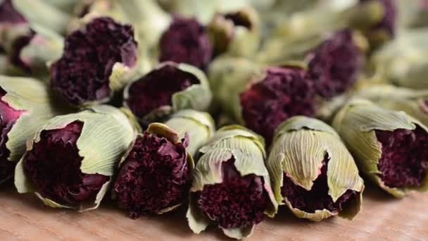 Tea Arid Dianthus Flowers — Vídeo de Stock