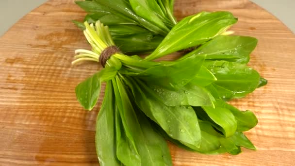 Wild Garlic Leaves Wooden Cutting Board — Stock video