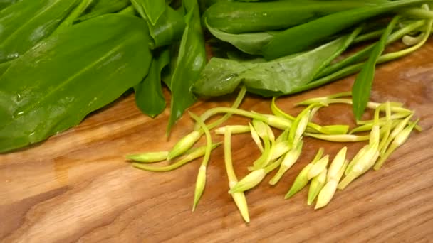 Wild Garlic Leaves Wooden Cutting Board — Stockvideo