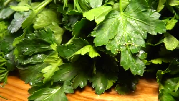 Spinach Leaves Fennel Parsley Wild Garlic Green Onion Wooden Cutting — Stock video