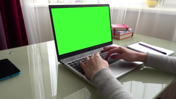Girl Working Home Office Hands Keyboard Screen Green Background — Stock Video