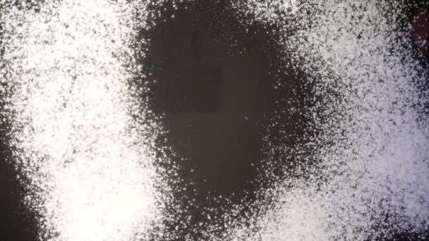 小麦粉をふるいでガラス表面にふるい分けます 下の図 — ストック動画