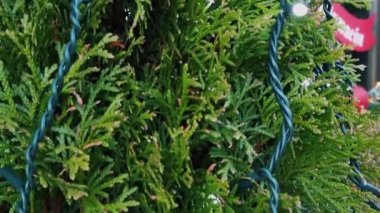 Noel tasarımı, çelenkli bir restoran..