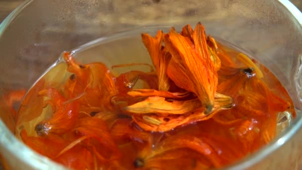 Květinový Čaj Okvětních Lístků Lilií — Stock video