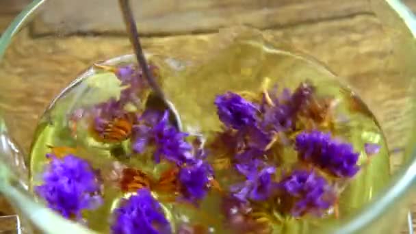 Čaj Květin Myosotis — Stock video