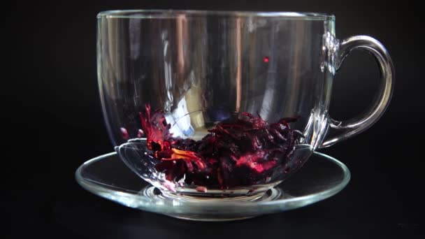 Przygotowanie Herbaty Hibiscus Szklanej Filiżance — Wideo stockowe