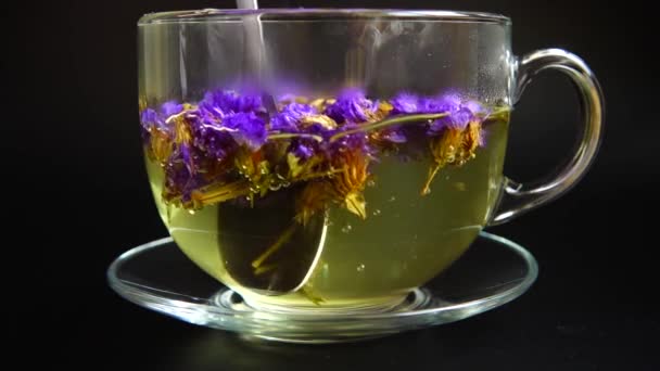 Чай Цветов Myosotis — стоковое видео