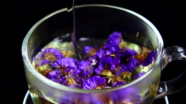 Chá Flores Myosotis — Vídeo de Stock