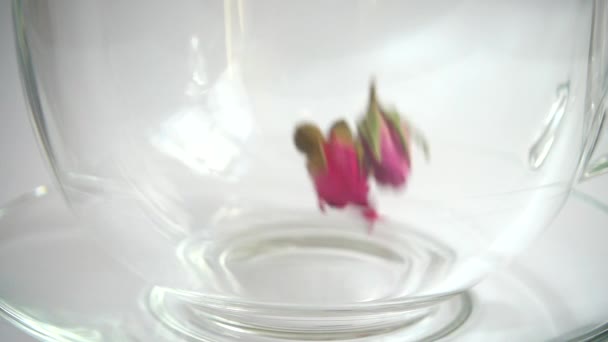 Květinový Čaj Okvětních Lístků Čajové Růže — Stock video