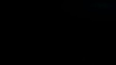 Siyah arka planda düşmüş hamburger ekmeği. Yavaş çekim.